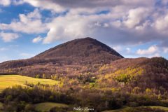 MG_8844